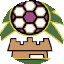الأنوار